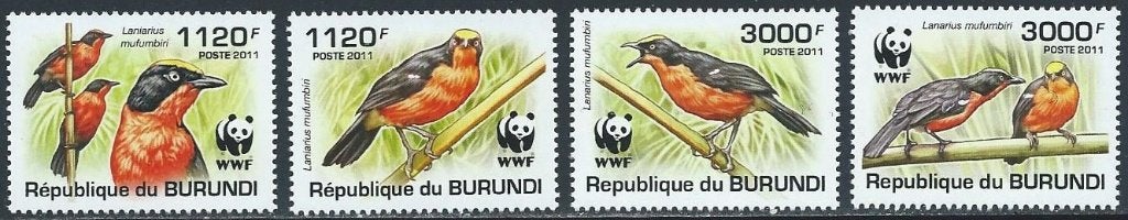 Vogels - Burundi - Mi 2126/2129 - Getand - Posfris, Ophalen of Verzenden, Postfris, Dier of Natuur