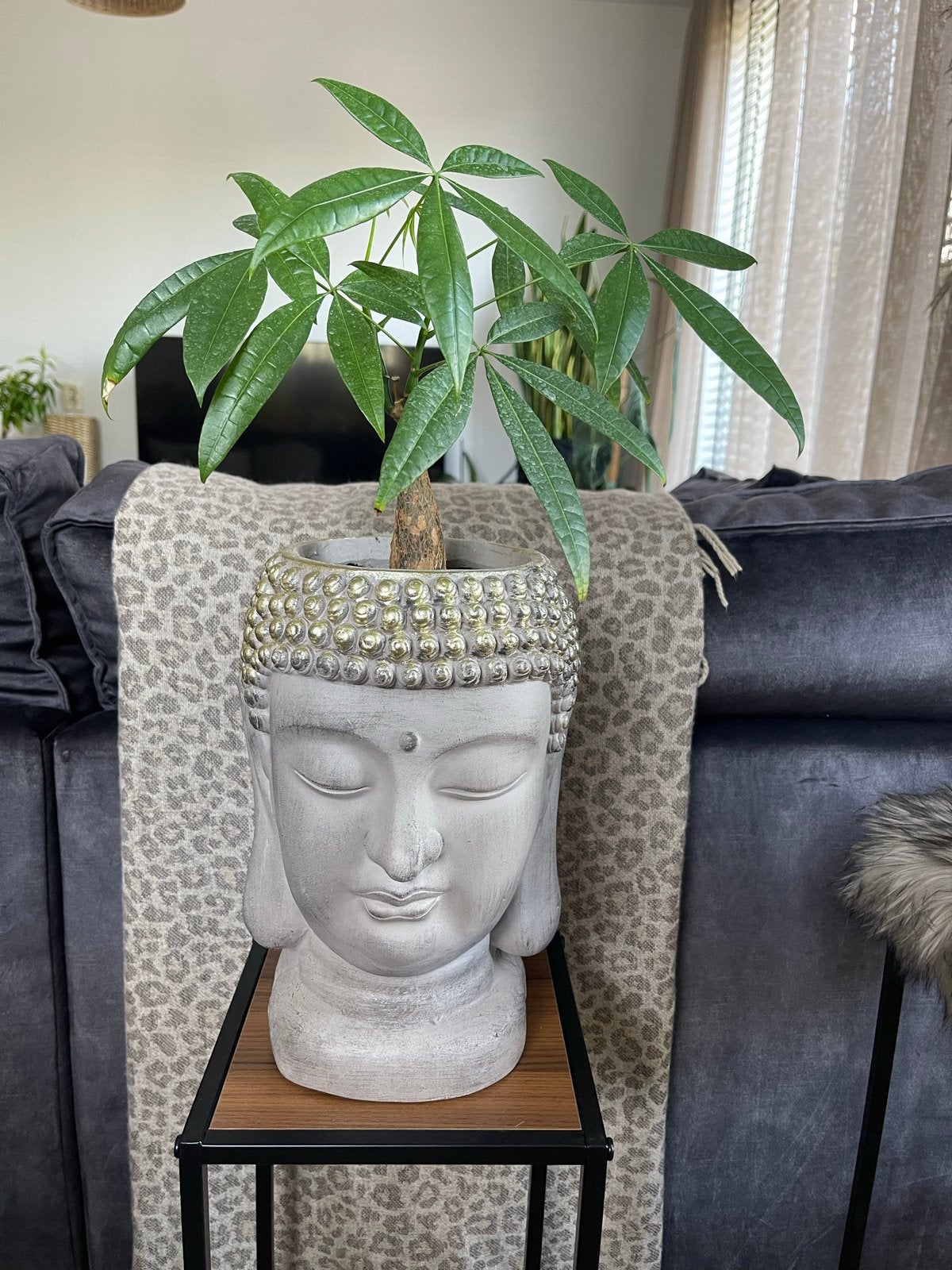 Boeddha hoofd bloempot grijs met gouden accenten, Huis en Inrichting, Steen/keramiek, Grijs, Ophalen of Verzenden, Zo goed als nieuw