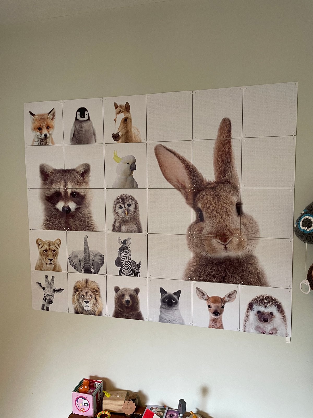 IXXI Wanddecoratie Dierenportretten, Ophalen, Meerkleurig, Zo goed als nieuw, Wandbord of Wandpaneel