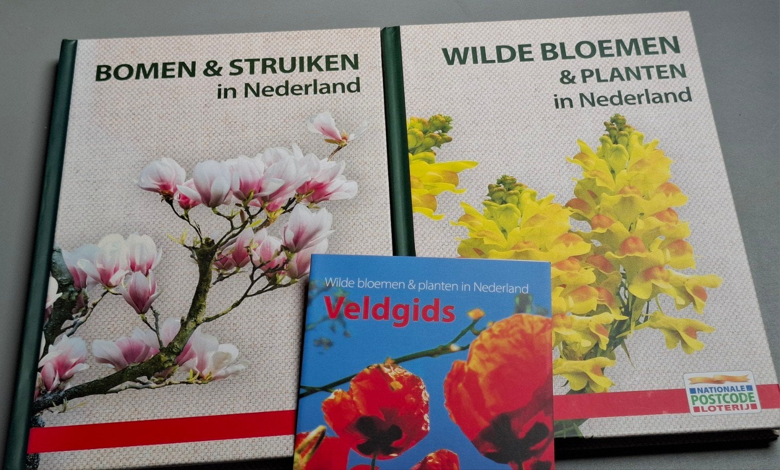 Natuurboeken: Wilde Bloemen & Planten, Bomen & Struiken, Boeken, Ophalen of Verzenden, Bloemen, Planten en Bomen