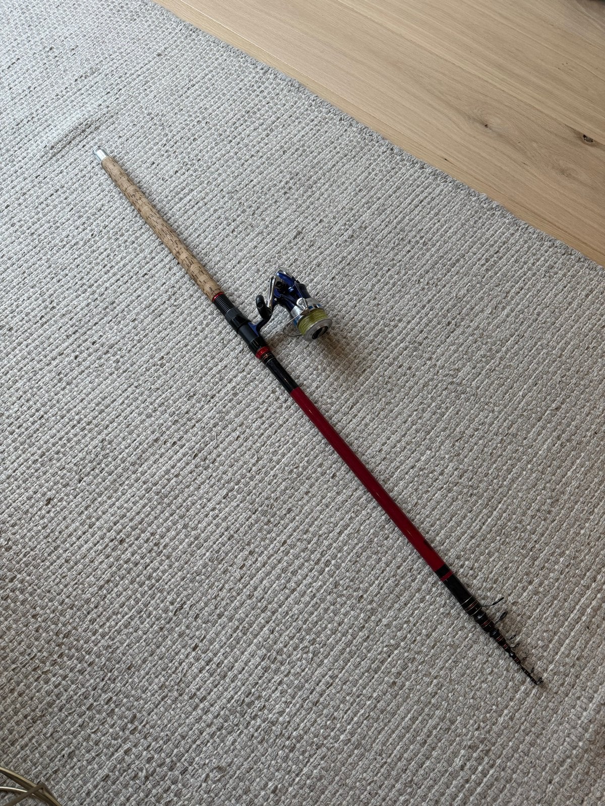 Daiwa (Karper)werphengel met molen - 4 meter, Ophalen, Gebruikt, Complete hengel