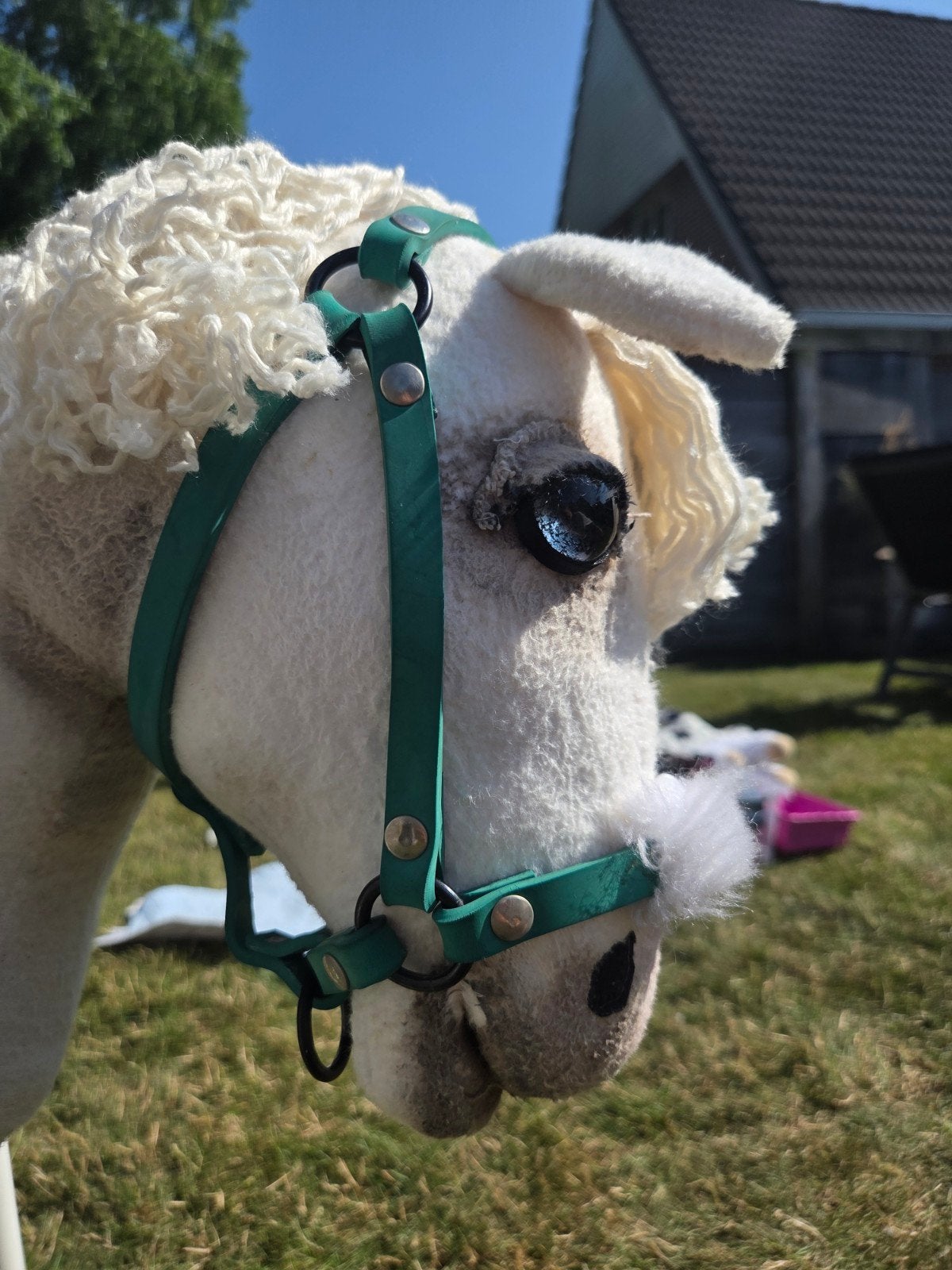 Halster met bond voor hobby horse, Ophalen