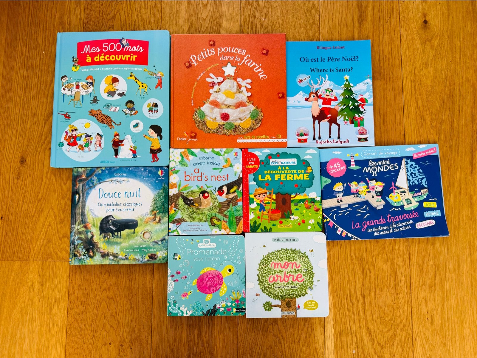 Franse kinderboeken/ Livres pour enfants en français, Ophalen of Verzenden, Zo goed als nieuw, Uitklap-, Voel- of Ontdekboek, 2 tot 3 jaar