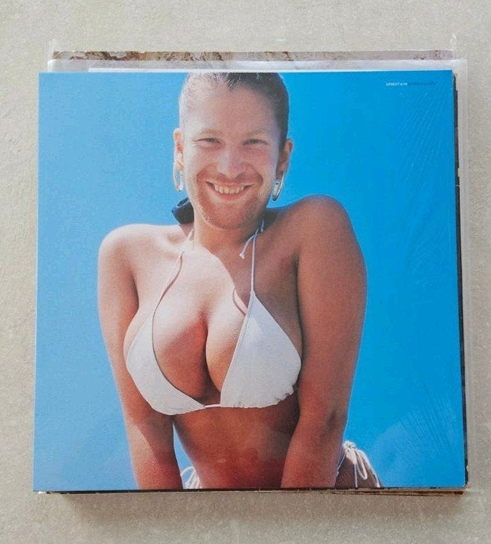 Aphex Twin - Windowlicker LP, Cd's en Dvd's, LP, Zo goed als nieuw, Elektronisch, 12 inch