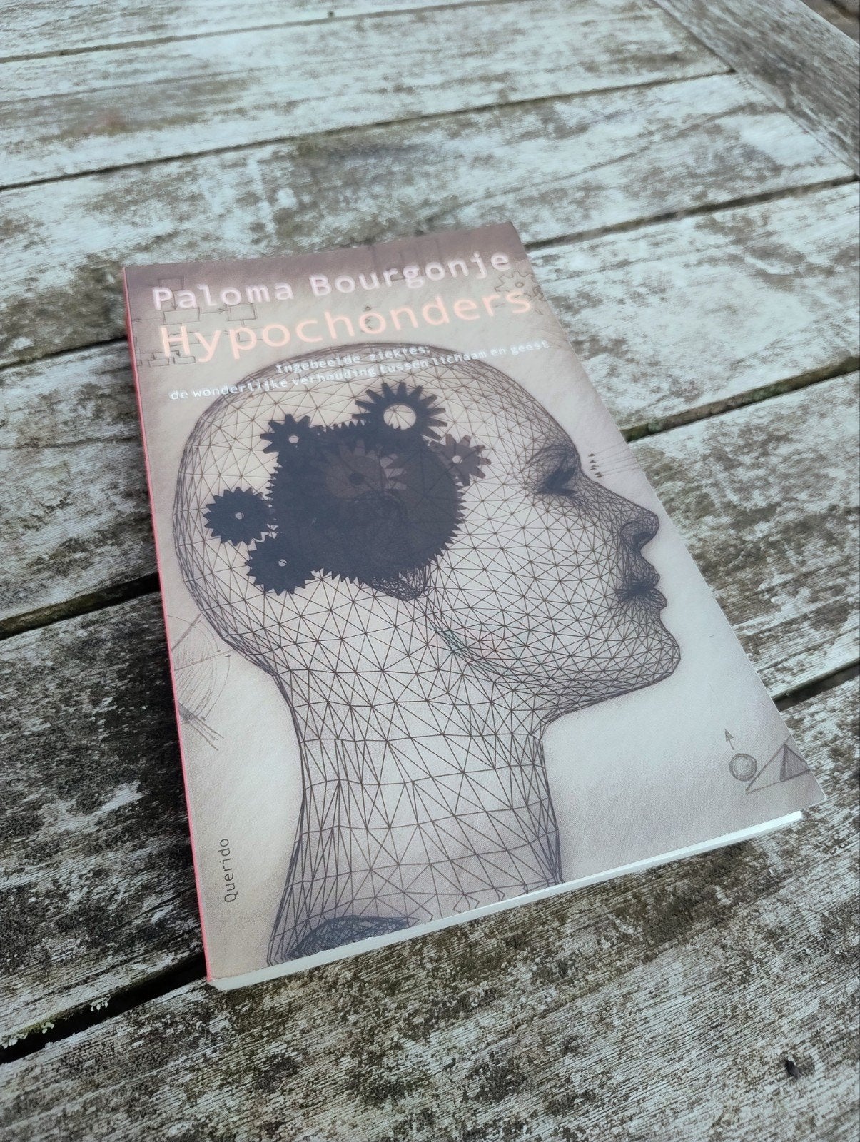 Hypochonders - Paloma Bourgonje, Gelezen, Klinische psychologie, Ophalen of Verzenden, Paloma Bourgonje