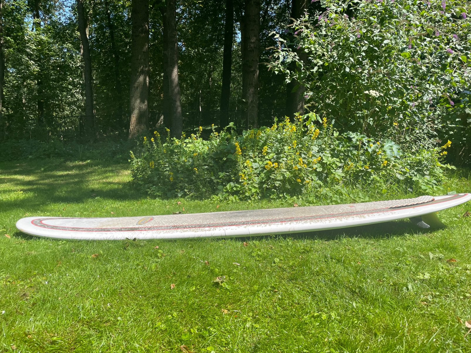 Longboard surf 9.2, Verzenden, Gebruikt, Longboard