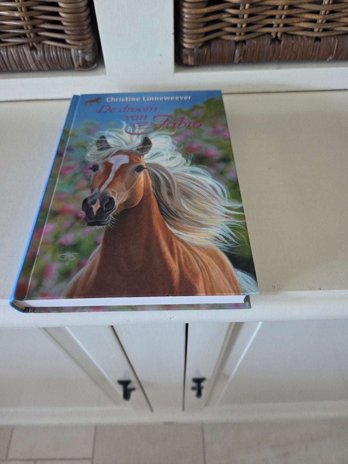 Christine Linneweever - De droom van Fabio, Boeken, Ophalen of Verzenden, Zo goed als nieuw, Christine Linneweever