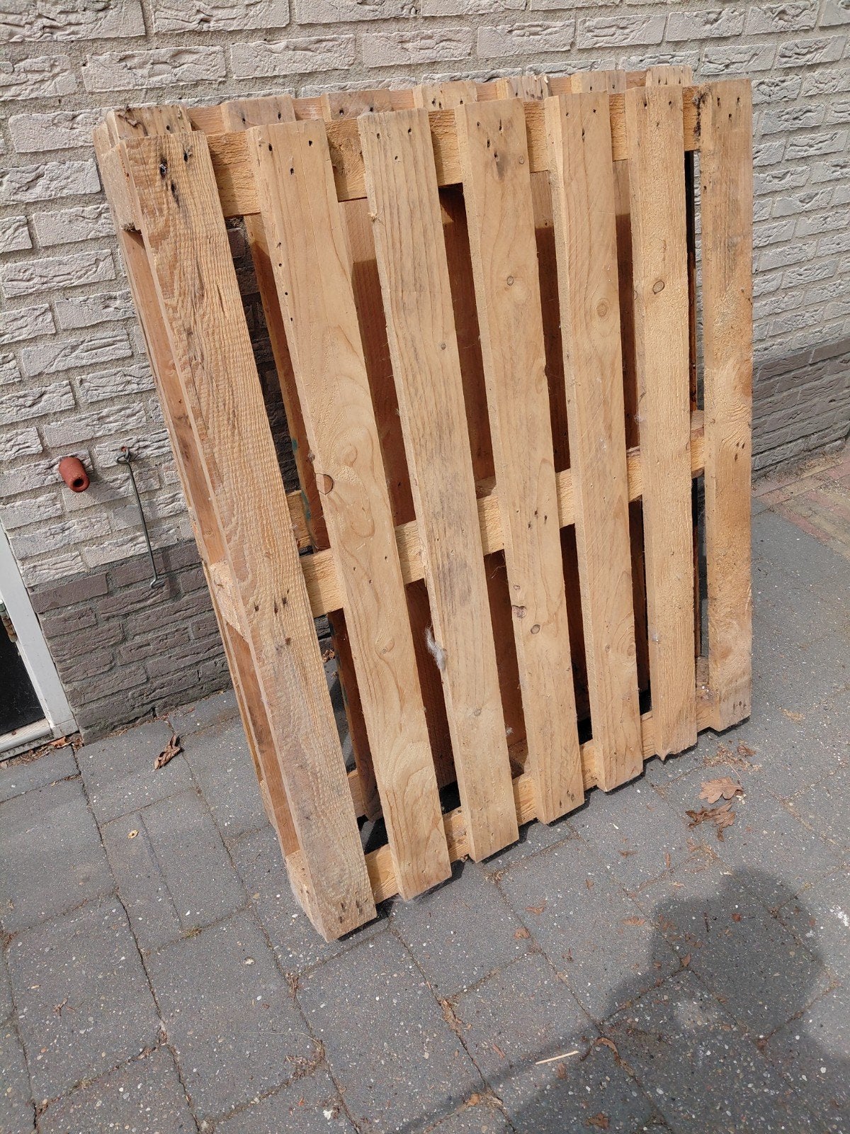 2 Houten Pallet 100 x 120 cm gratis, Ophalen, Gebruikt, 50 mm of meer, Pallet
