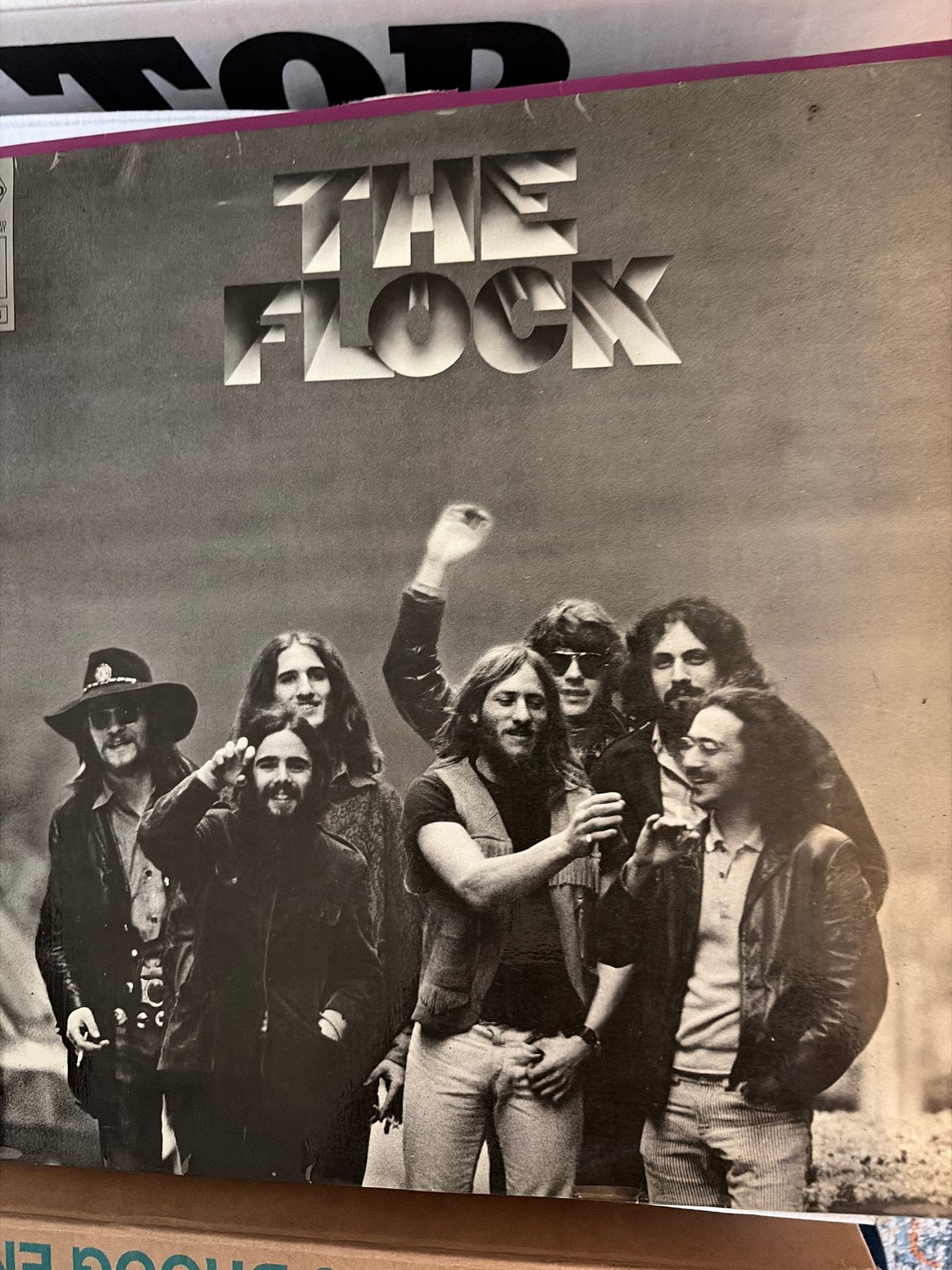 The Flock - The Flock (LP), LP, Ophalen of Verzenden, 12 inch, Progressive Rock