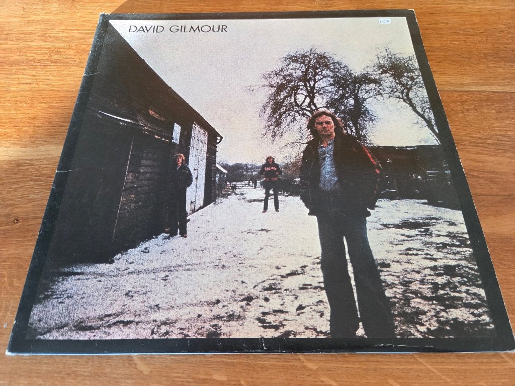 Lp David Gilmour, LP, Rock, Gebruikt, Overige formaten