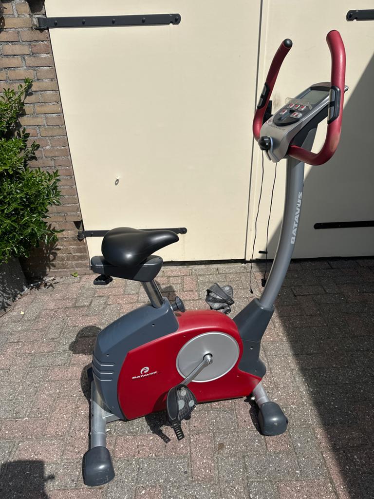 Batavus Ultimate Biking C2 Hometrainer, Ophalen, Gebruikt, Metaal, Benen
