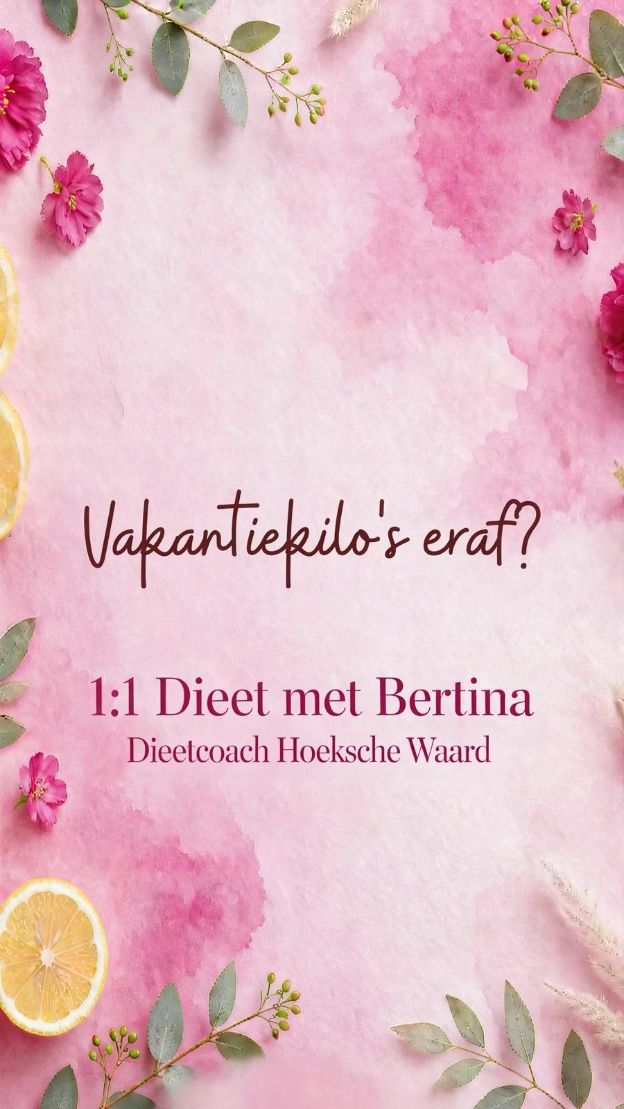 Het 1 op 1 Dieet met Bertina - Dieetcoach Hoekschewaard