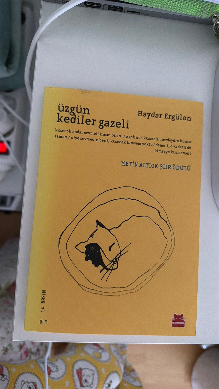 Üzgün kediler gazeli Haydar Ergülen, Ophalen of Verzenden, Zo goed als nieuw, Spiritualiteit algemeen, Achtergrond en Informatie
