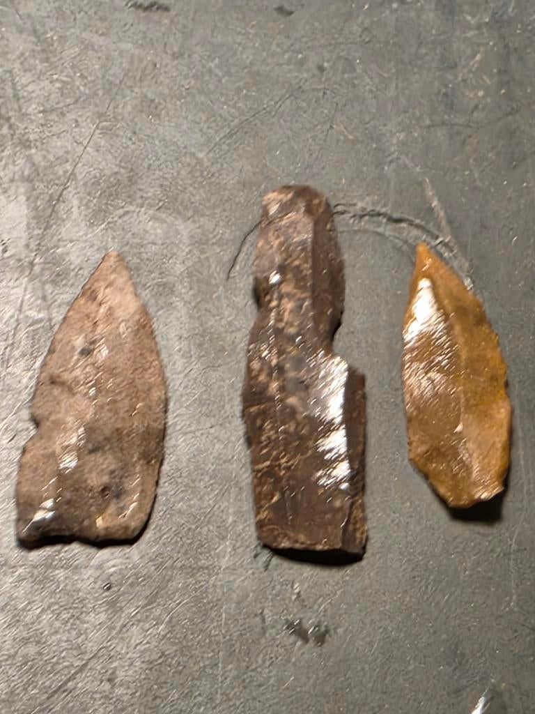 Artefacten set hulshorst, Verzamelen, Mineralen en Fossielen, Ophalen of Verzenden