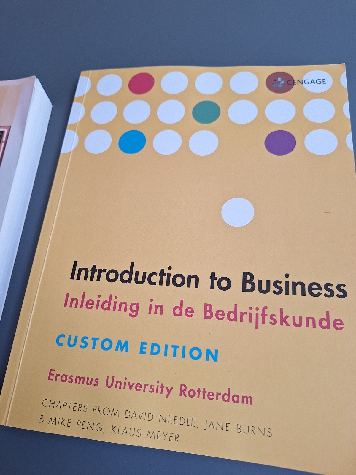 Introduction to Business / Inleiding in de Bedrijfskunde, Boeken, David Needle, Jane Burns, Mike Peng, Klaus Meyer, Ophalen of Verzenden