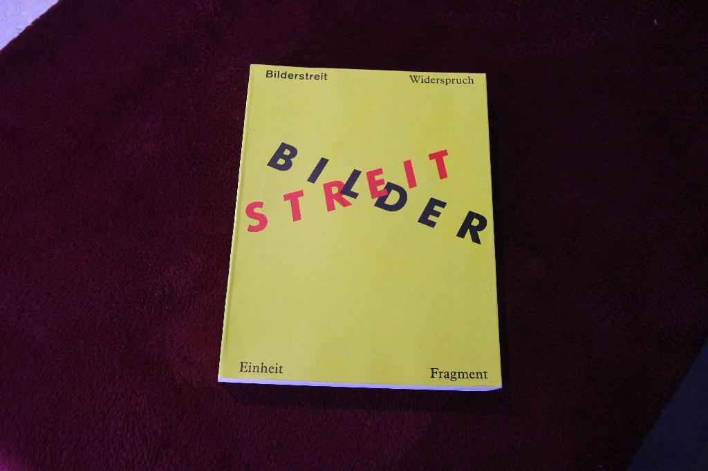 Bilderstreit Widerspruch, Boeken, Kunst en Cultuur | Beeldend, Gelezen, Ophalen of Verzenden