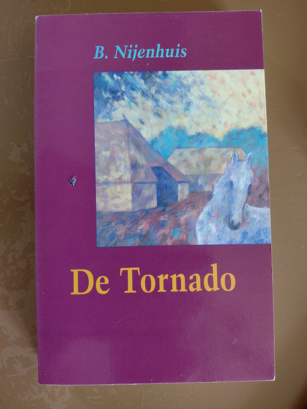 B. Nijenhuis - De tornado, Boeken, Ophalen of Verzenden, Zo goed als nieuw, B. Nijenhuis