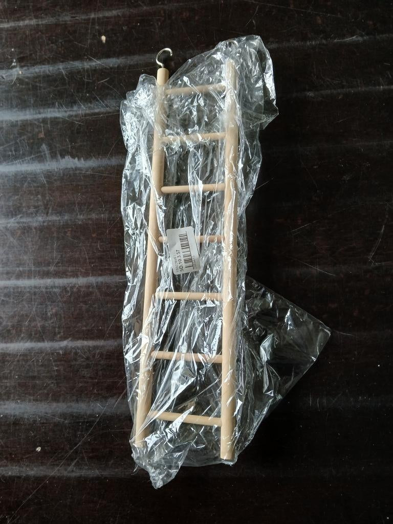 Vogel trappetje, Mannelijk