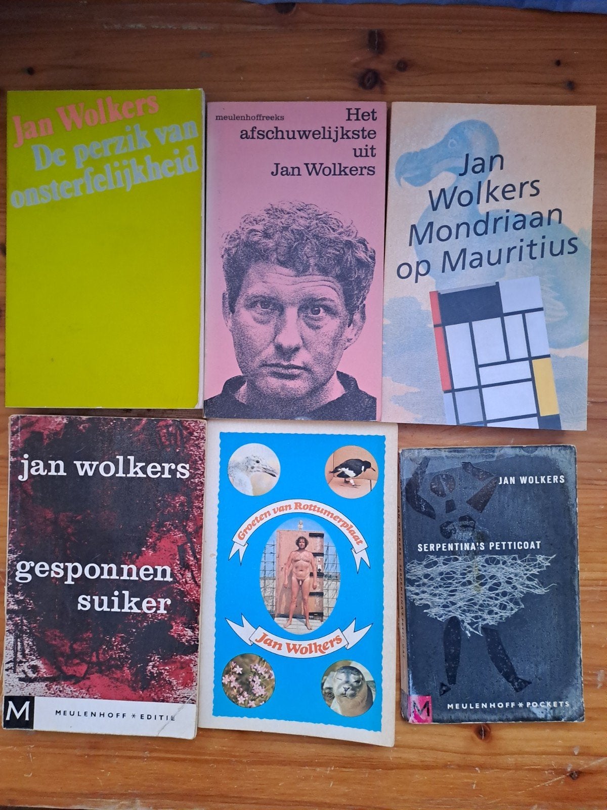 Jan Wolkers - Mondriaan op Mauritius, Ophalen of Verzenden, Gelezen, Jan Wolkers