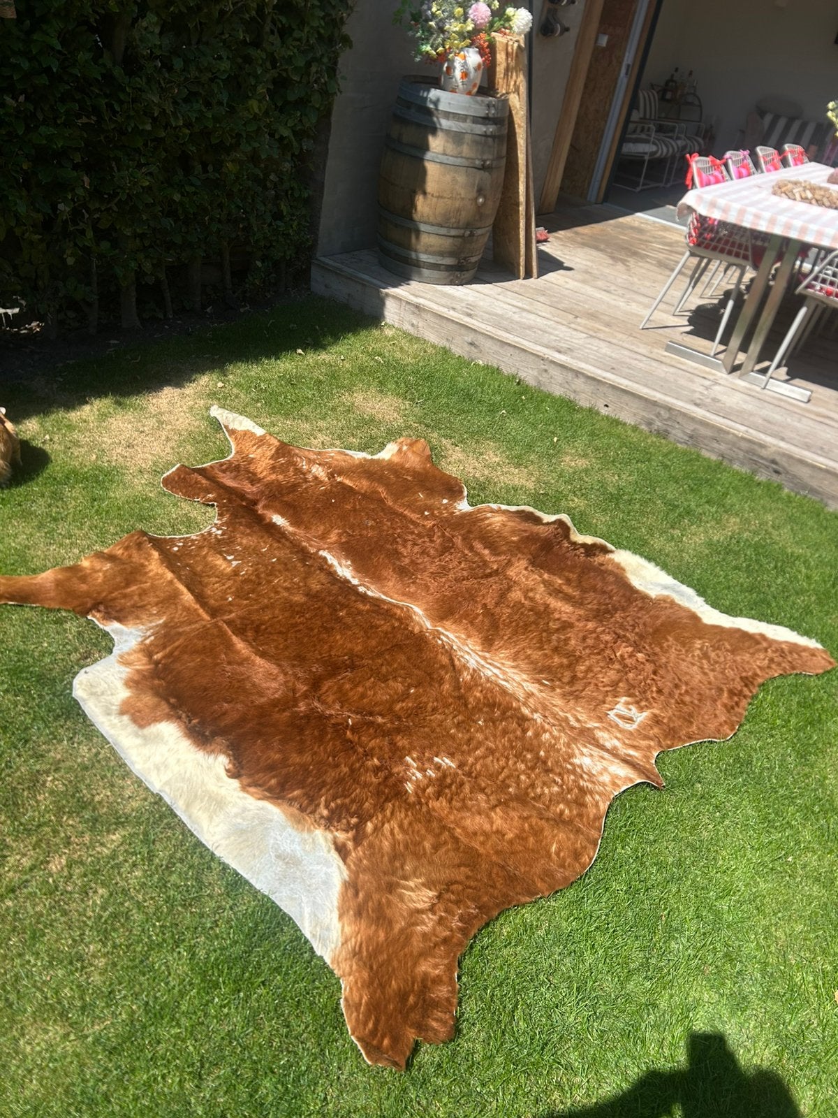 Vloerkleed koeienhuid, Ophalen, 200 cm of meer, 50 tot 100 cm, Zo goed als nieuw