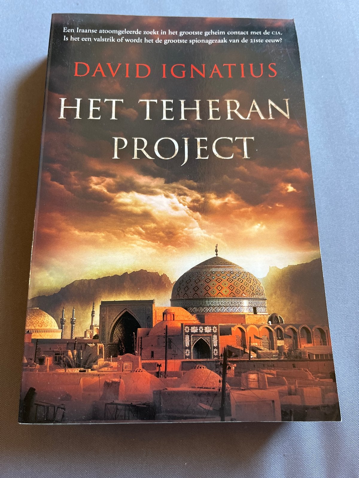 Het Teheran Project - David Ignatius (Thriller), Boeken, Ophalen of Verzenden, Gelezen, Europa overig