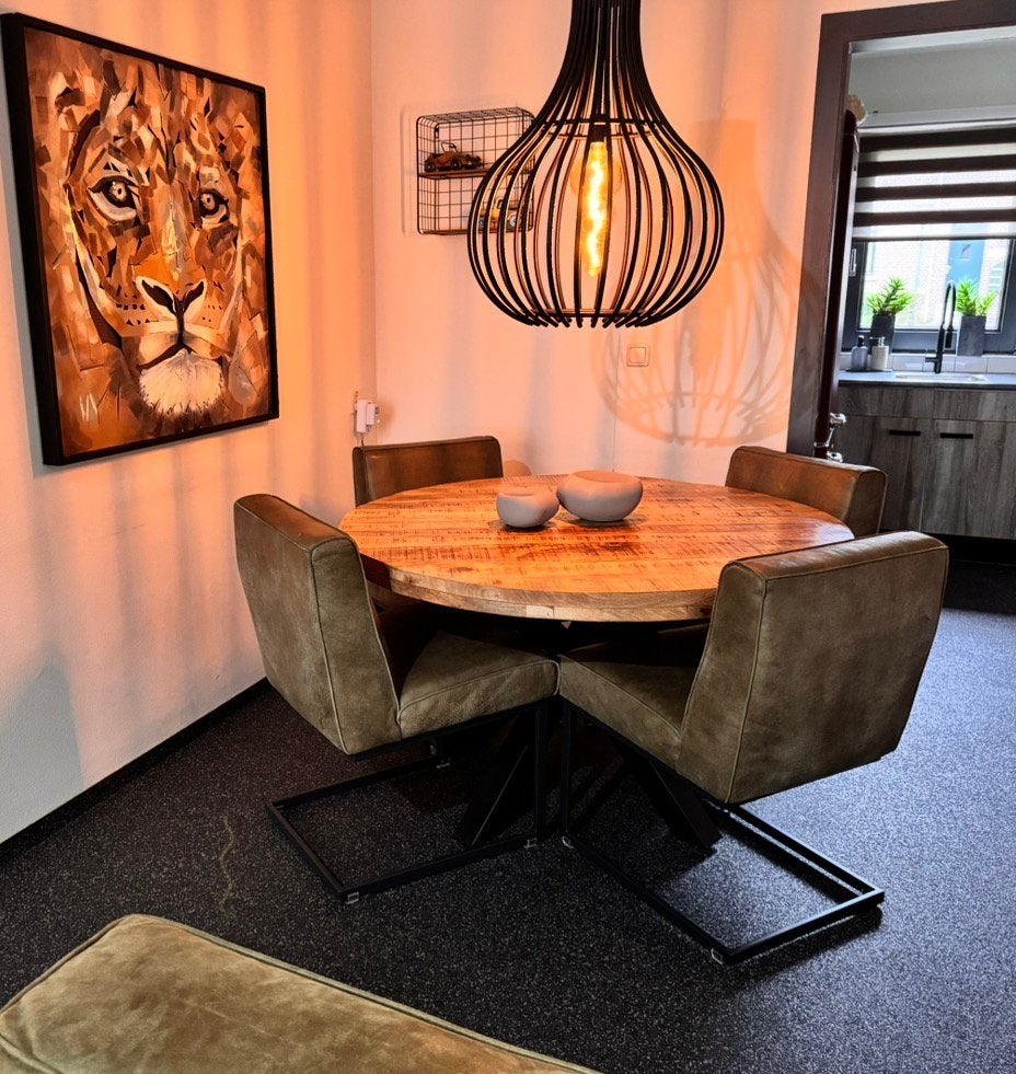 Mooie stoelen, Huis en Inrichting, Stoelen, Ophalen of Verzenden, Zo goed als nieuw, Leer