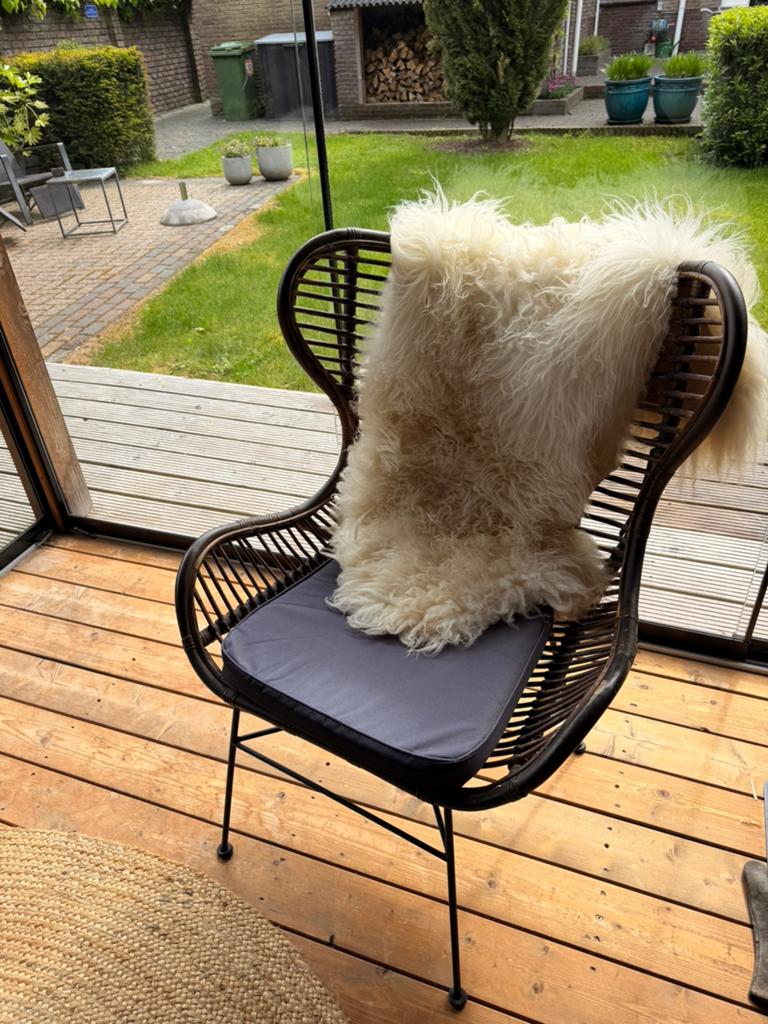 2 Rotan vlinderstoelen, Twee, Bruin, Modern, Bohemian (Boho) of Scandinavisch., Riet of Rotan