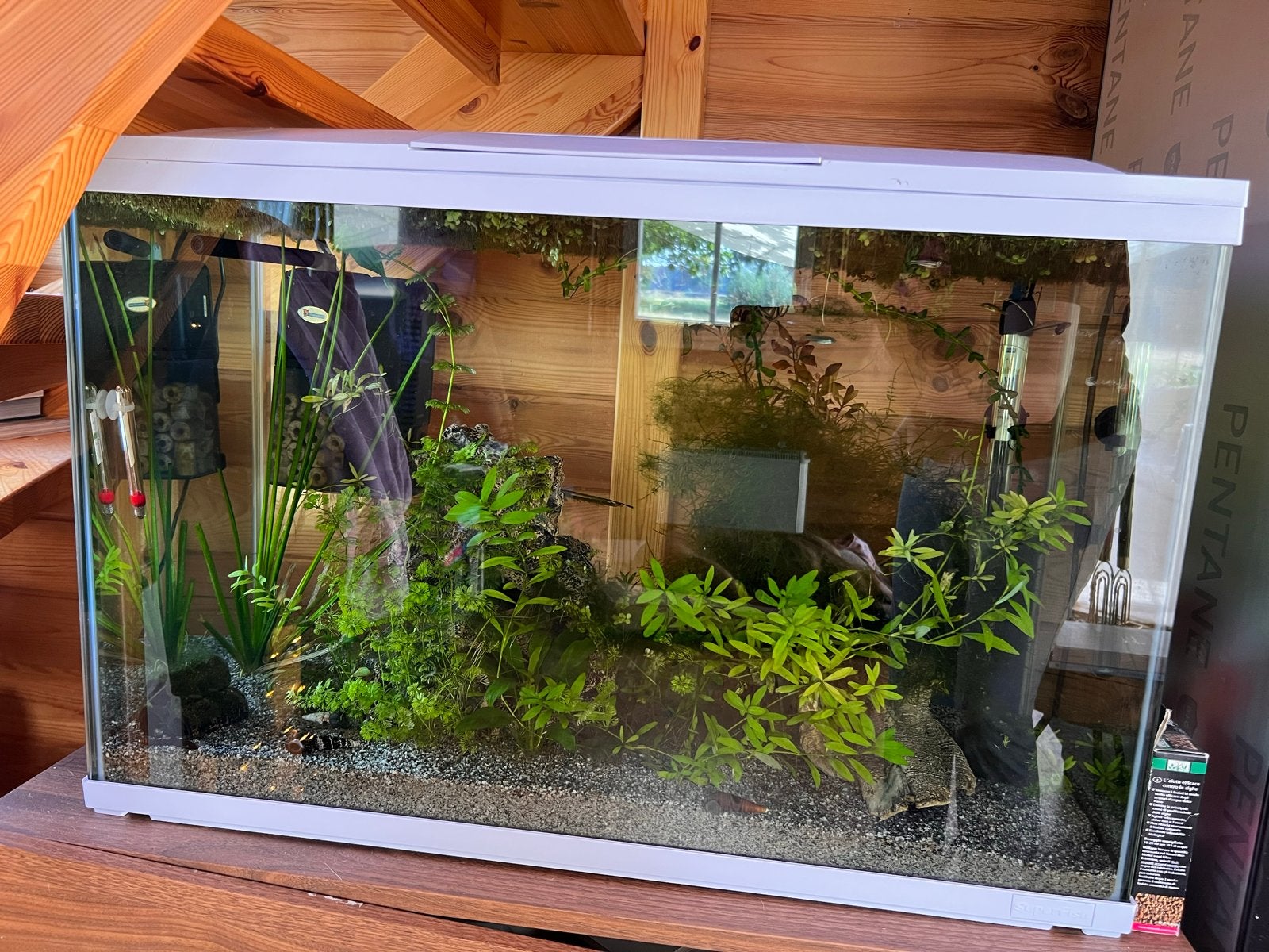 Superfish 100L draaiend en incl vissenbestand, Dieren en Toebehoren, Ophalen, Gebruikt, Gevuld zoetwateraquarium, Superfish