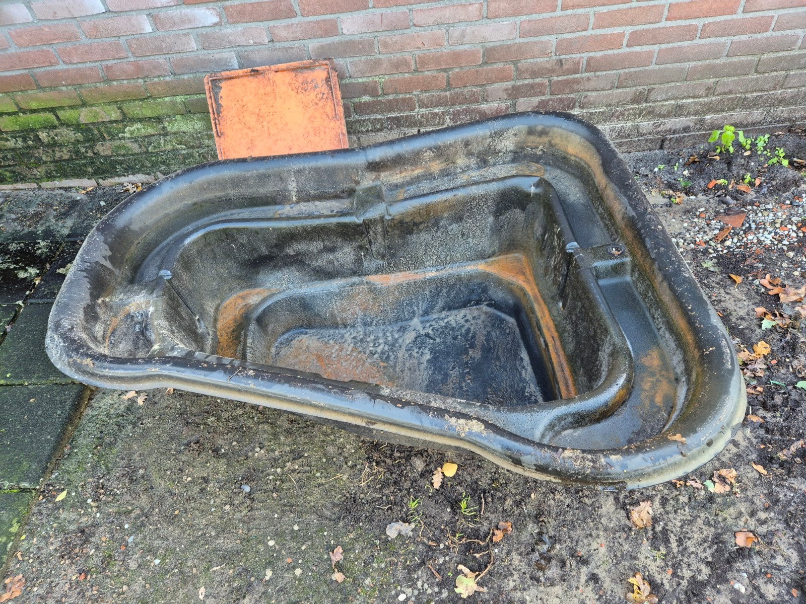 vijver  kip eenden, Dieren en Toebehoren