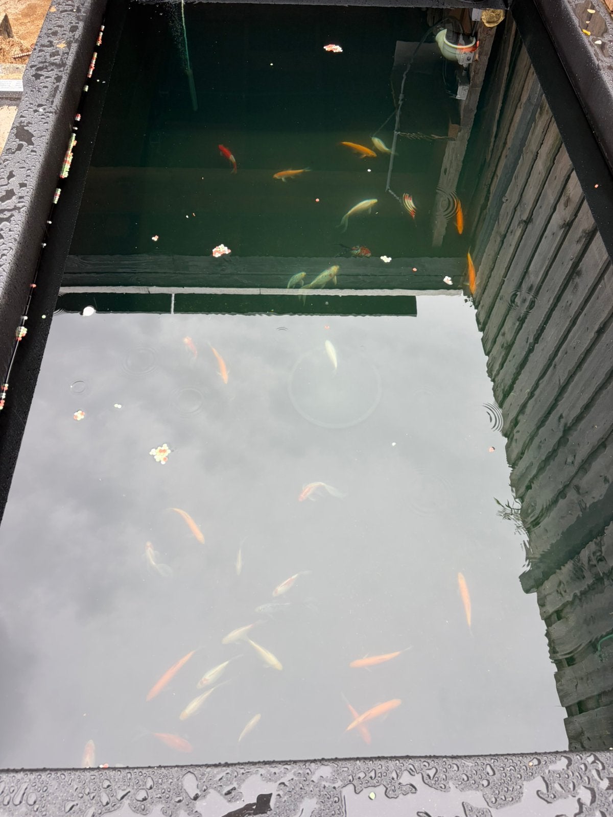 Goudvissen en winde af te halen, Tuin en Terras, Ophalen, Zo goed als nieuw