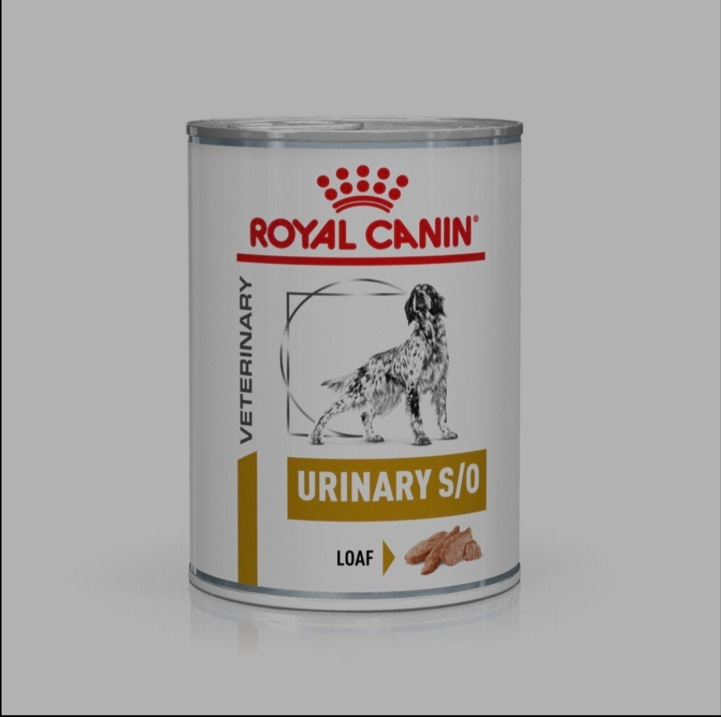 60x Royal Canin Urinary s/o 410gram blikken, Hond, Dieren en Toebehoren, Dierenvoeding, Ophalen, Hond