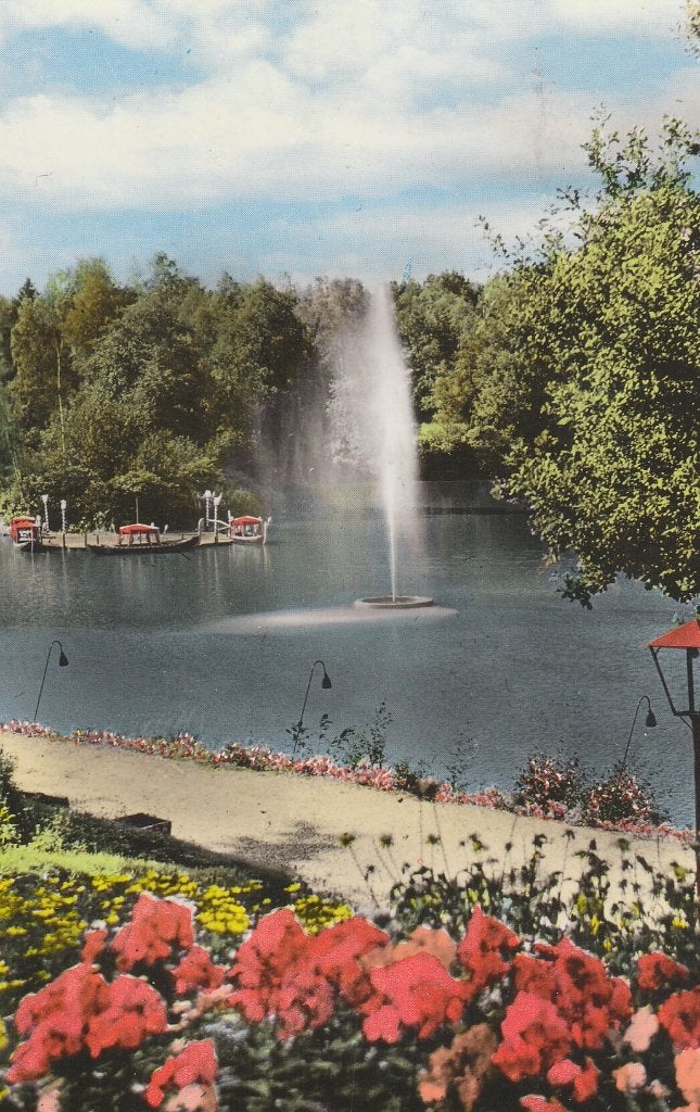 J238 ansichtkaart apeldoorn grote vijver met fontein 1960, Ophalen of Verzenden, 1960 tot 1980, Gelopen, Gelderland
