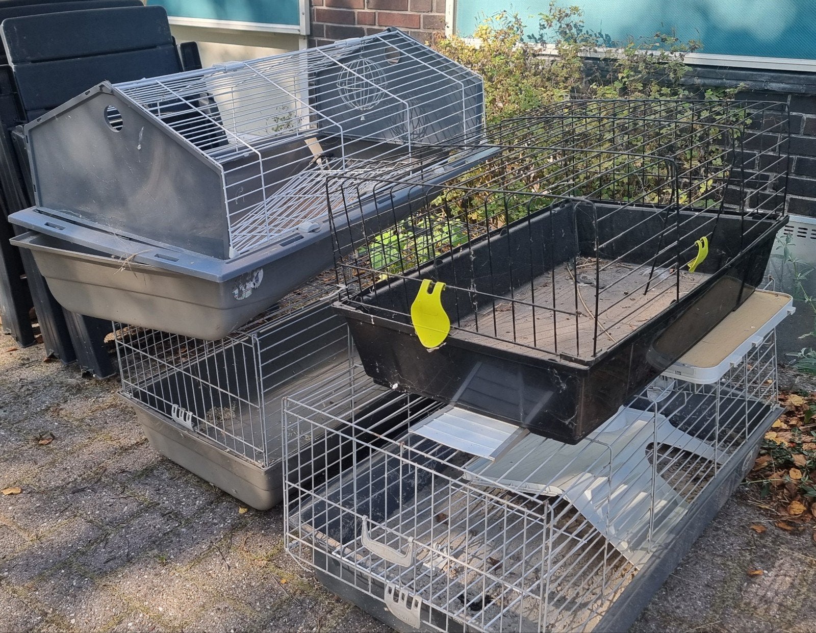 GRATIS AF TE HALEN: Kooien voor vervoer kippen en konijnen, Ophalen, Gebruikt, Transportkoffer of -box