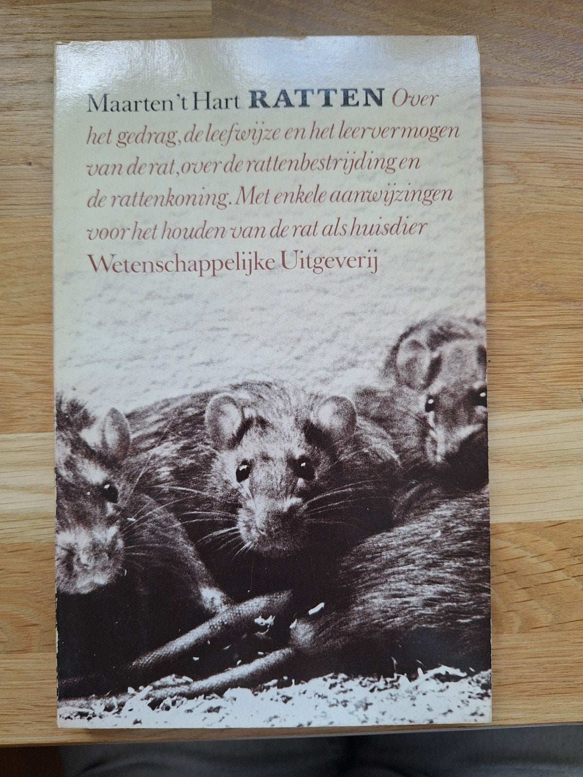 Maarten 't Hart - Ratten: Gedrag, leefwijze en meer, Ophalen of Verzenden, Gelezen, Overige onderwerpen, Maarten 't Hart