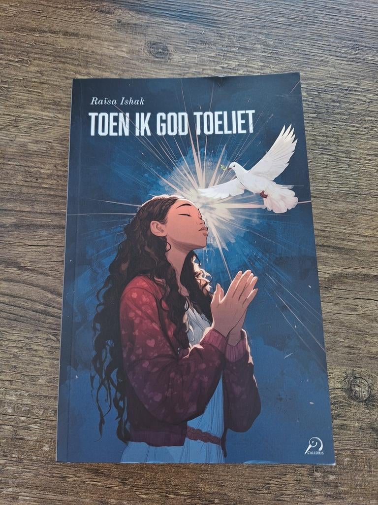Raïsa Ishak - Toen ik God toeliet, Boeken, Godsdienst en Theologie, Zo goed als nieuw, Ophalen of Verzenden