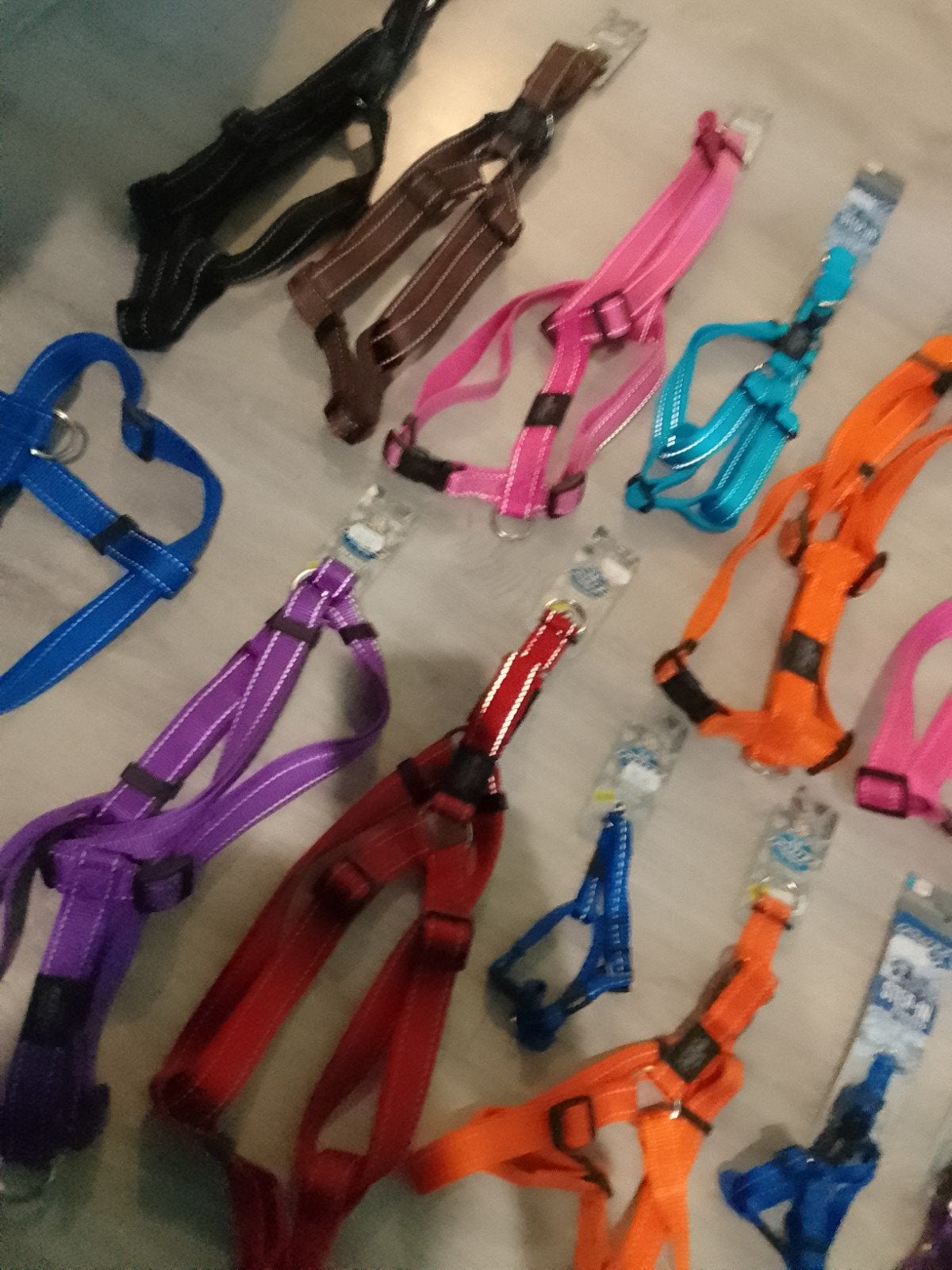 Grote partij Rogz for Dogz hondentuigjes (24 stuks) – NIEUW, Dieren en Toebehoren, Overige merken, Hondentuig, ., Nieuw