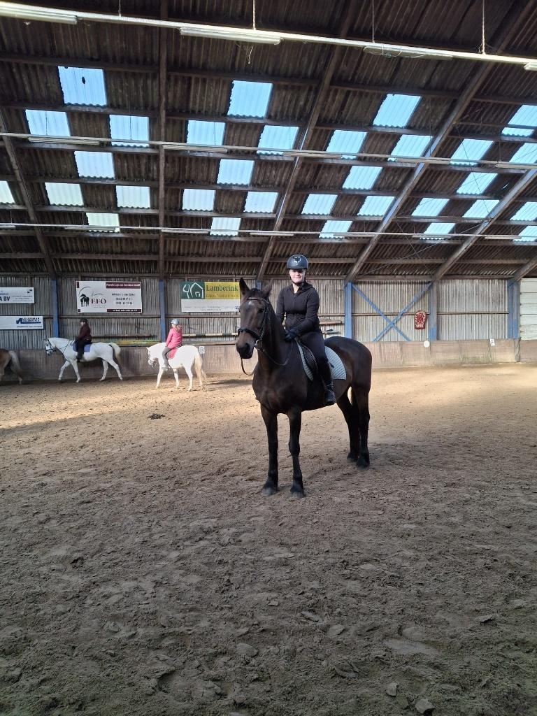 Verzorger / Bijrijder aangeboden!, Dieren en Toebehoren, Paarden en Pony's | Overige Paardenspullen, Ophalen of Verzenden, Nieuw