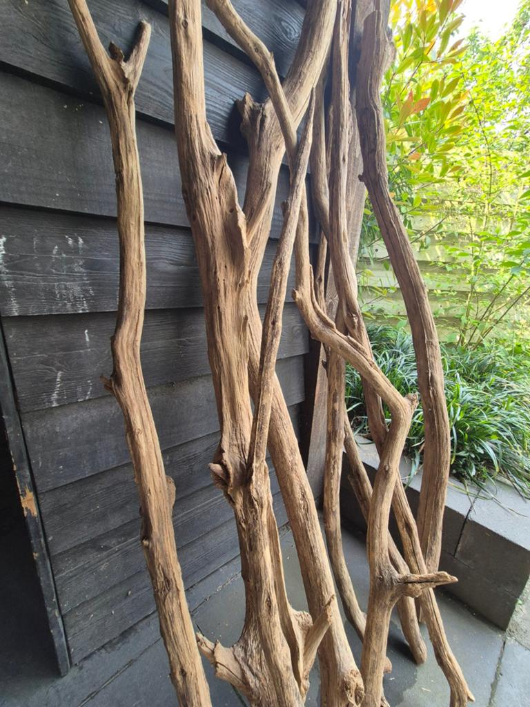 Decoratieve Houten Takken - Natuurlijke Woondecoratie, Ophalen, Hout, Gebruikt, Landelijk