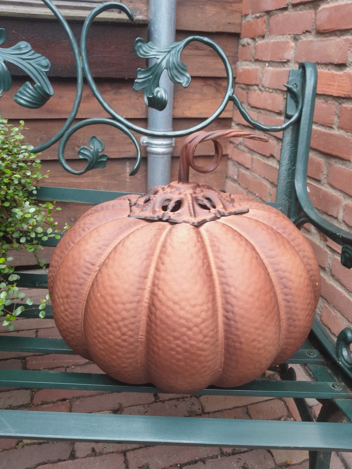 grote roestige pompoen, Tuin en Terras, Ophalen of Verzenden, Nieuw
