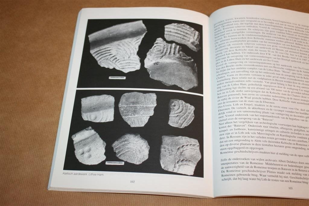 Speuren naar het onverklaarbare - Archeologie Maasdal, Ophalen of Verzenden, Gelezen