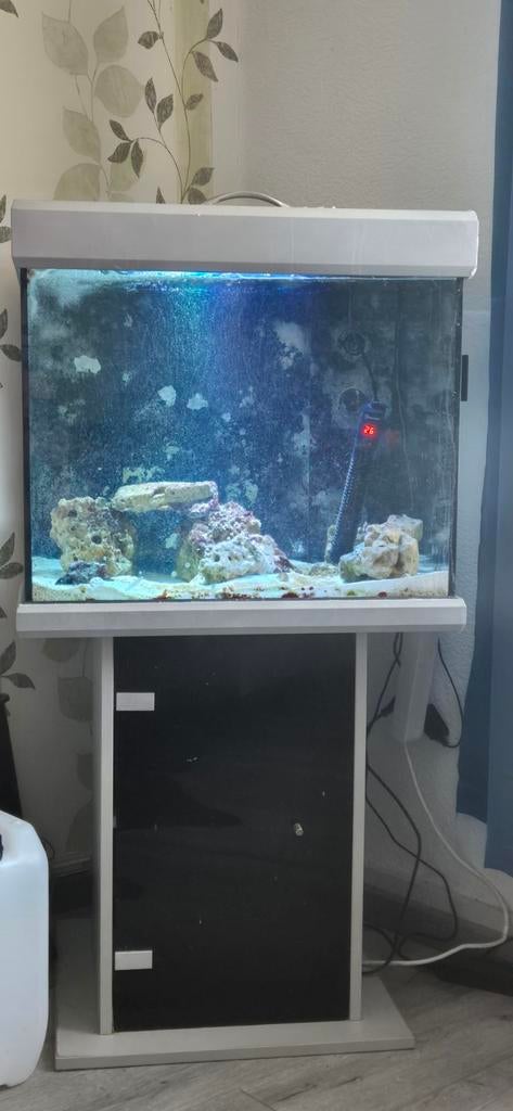Zee aquarium, Ophalen, Leeg aquarium