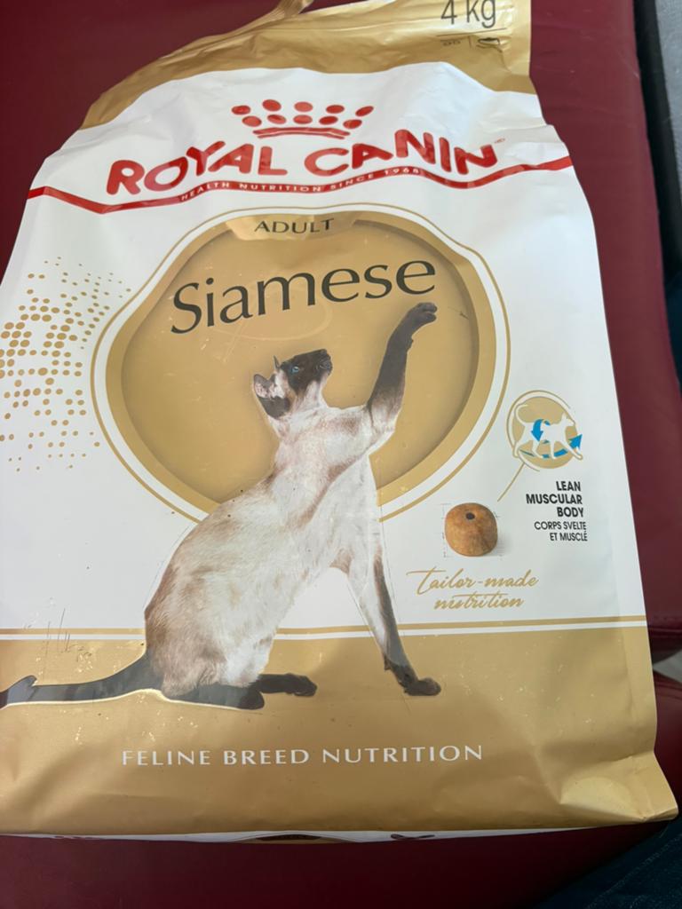 TEAB Royal canin katten brokjes, Dieren en Toebehoren, Ophalen, Kat