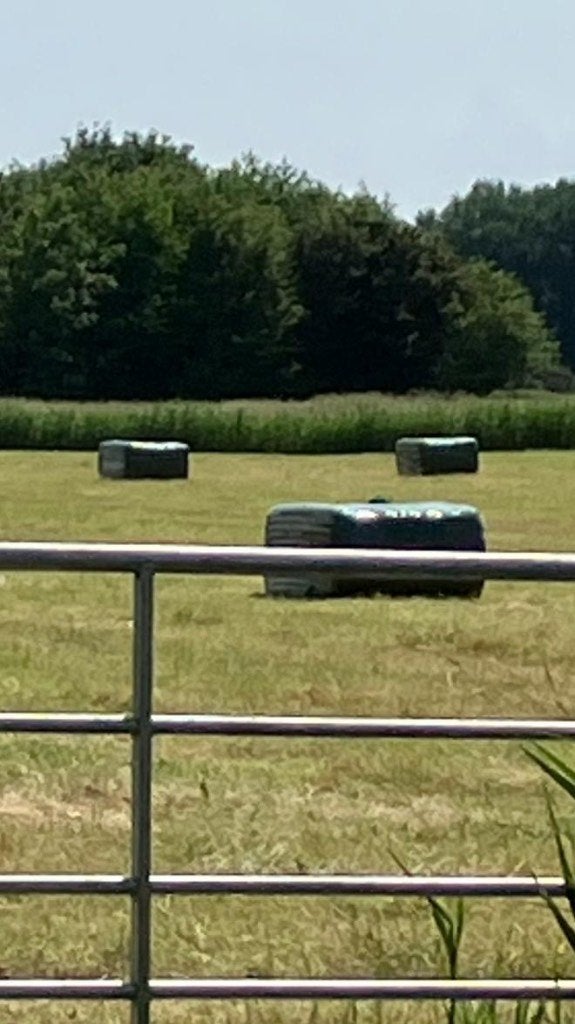 Hooi balen perfect voor paarden /vee, Dieren en Toebehoren, Dierenvoeding, Ophalen of Verzenden, Vee