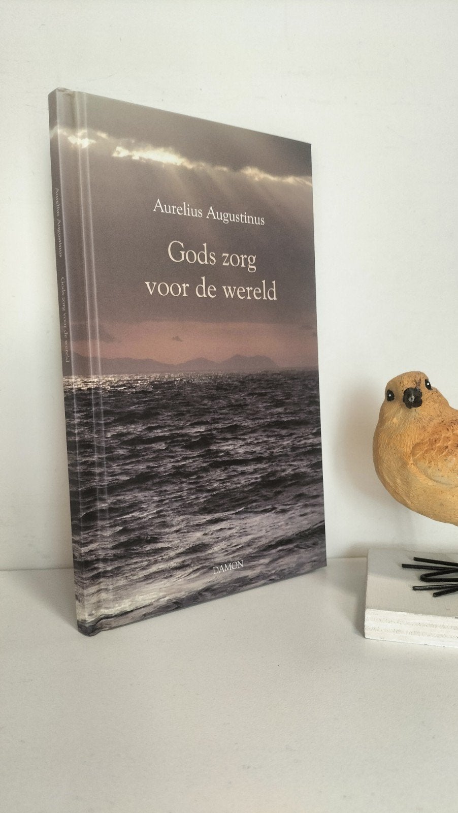 Augustinus, Aurelius; Gods zorg voor de wereld, Ophalen of Verzenden, Gelezen, Christendom | Katholiek