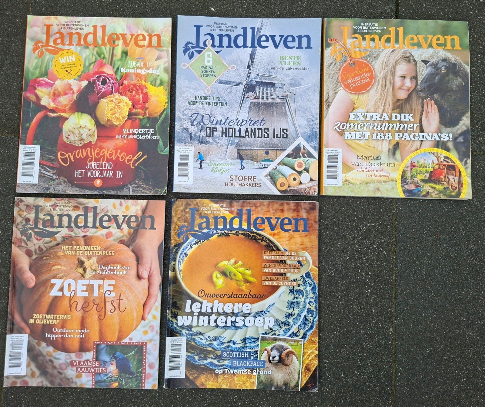 Landleven tijdschriften - diverse nummers en jaren, Boeken, Tijdschriften en Kranten, Ophalen of Verzenden, Gelezen, Overige typen