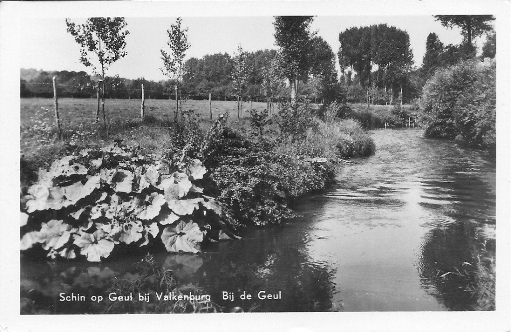 Oude ansichtkaart Schin op Geul bij Valkenburg, Ophalen of Verzenden, 1940 tot 1960, Gelopen, Limburg