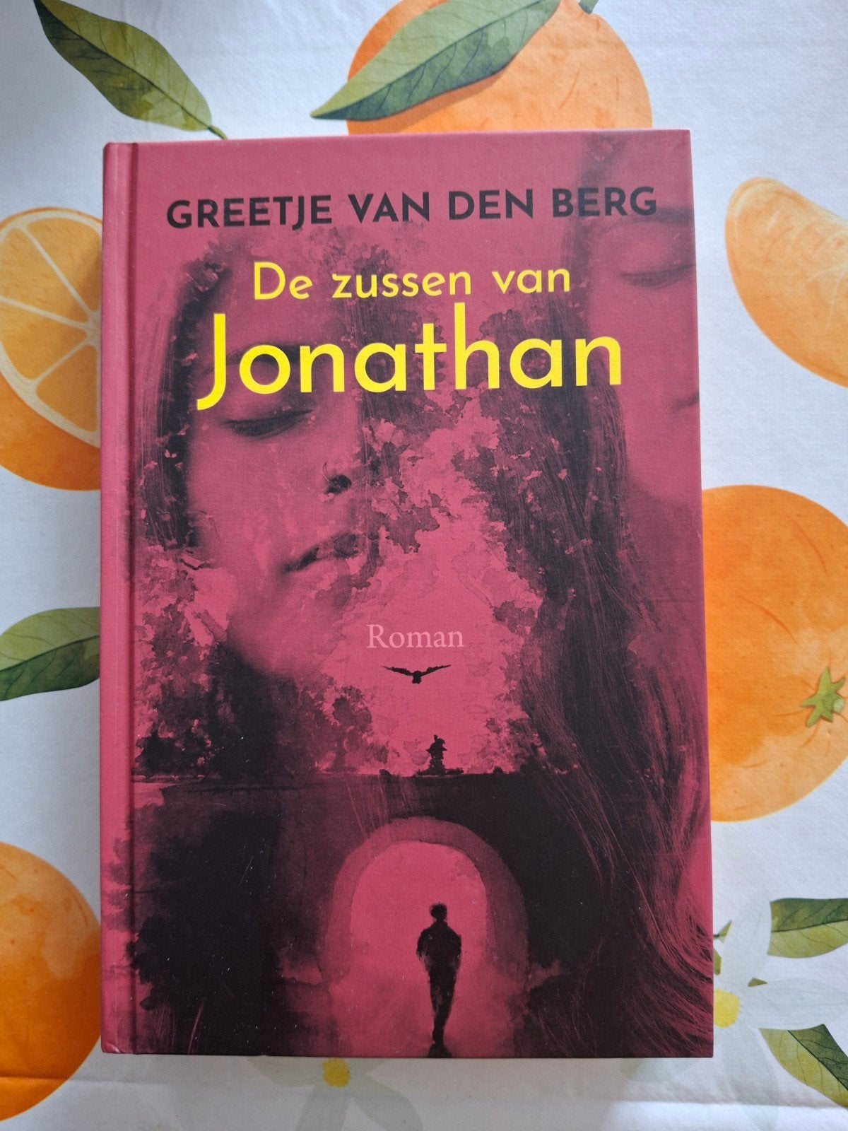 De zussen van Jonathan Greetje van den Berg, Ophalen of Verzenden, Zo goed als nieuw, Greetje van den Berg, Nederland