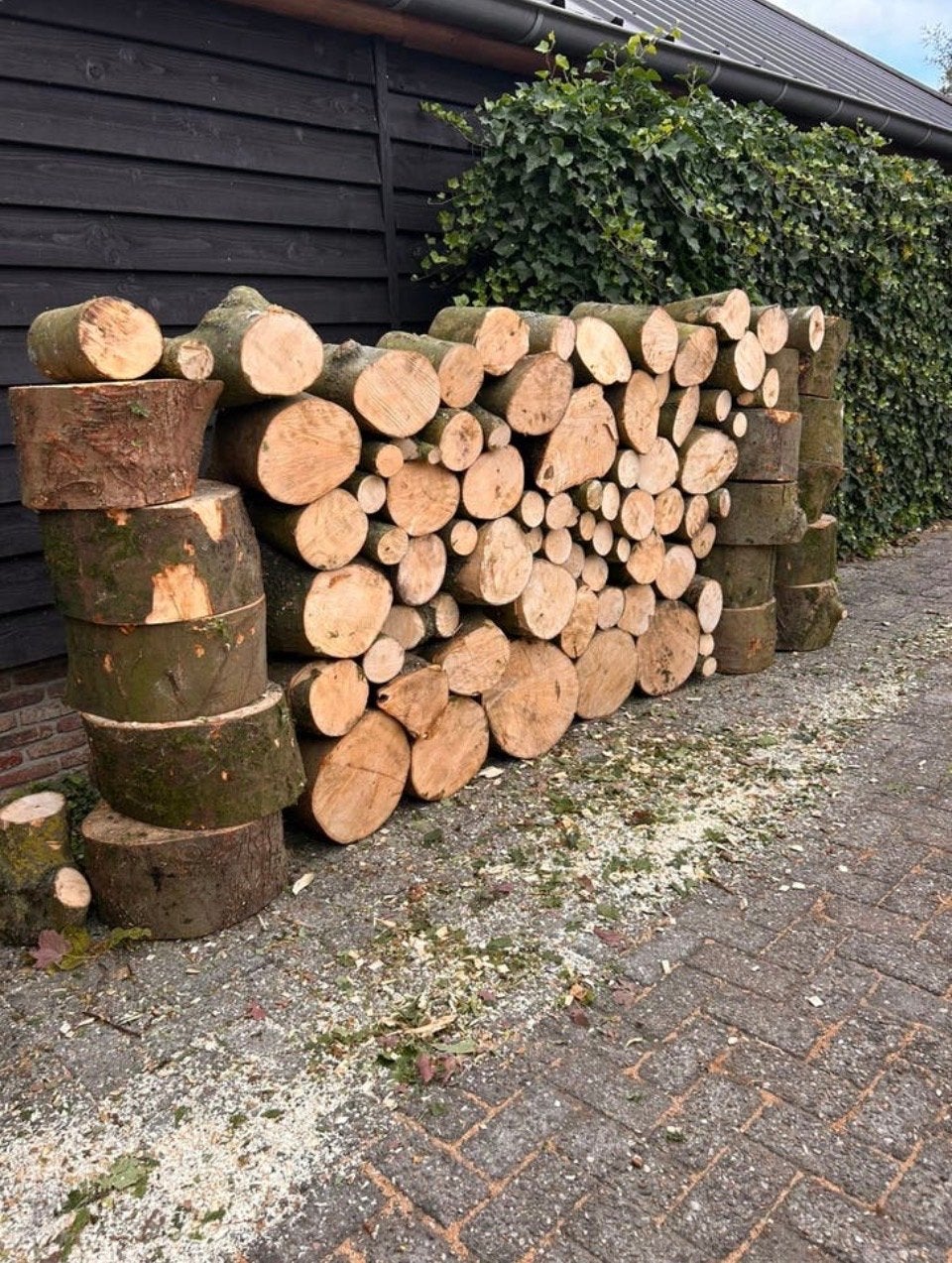 Openhaardhout Esdoorn, Tuin en Terras, Haardhout, Minder dan 3 m³, Ophalen of Verzenden, Overige houtsoorten, Blokken