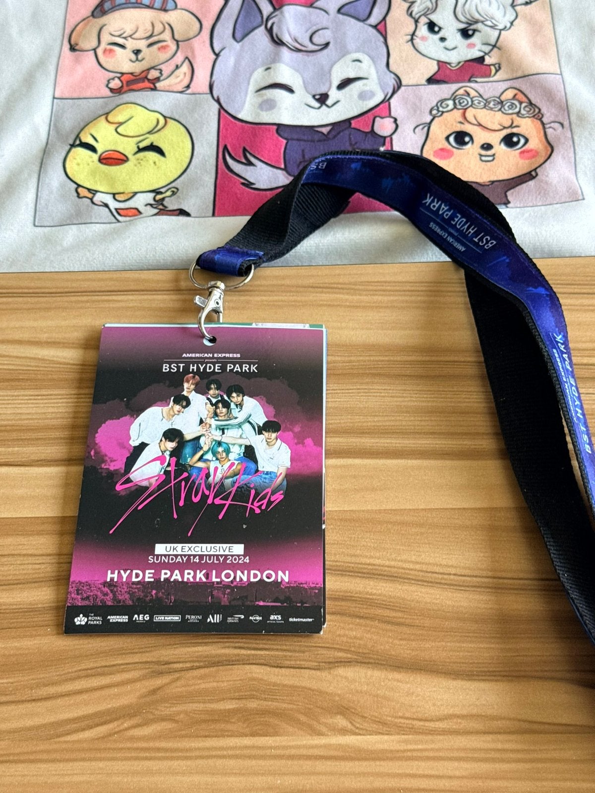 Stray Kids lanyard BST Hyde park, Ophalen of Verzenden, Zo goed als nieuw, Foto of Kaart