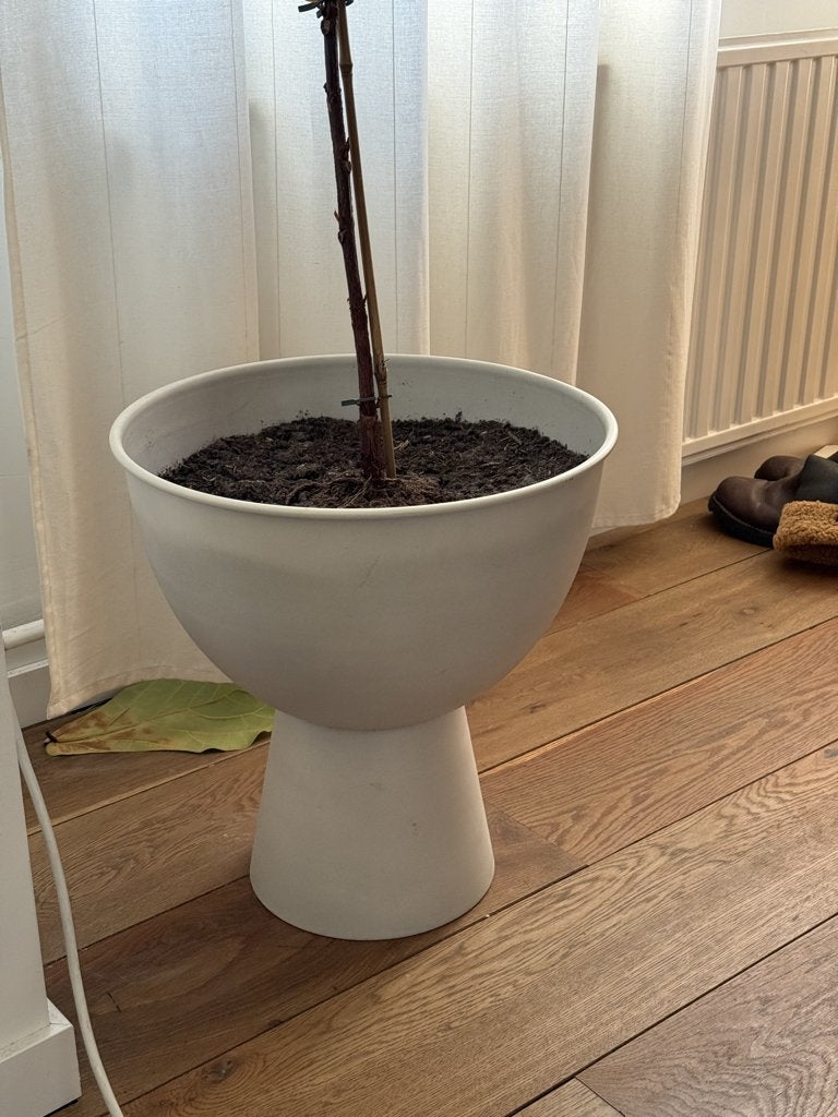 plant pot XL mat wit staal, Ophalen, Halfschaduw, Minder dan 100 cm